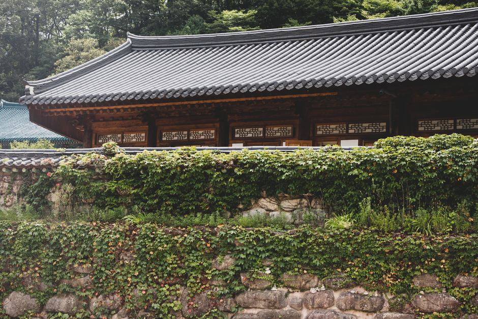습기가 가득 찬 욕실 벽면에 서린 미세한 물방울, 곰팡이 발생 원인인 높은 습도를 나타내는 이미지