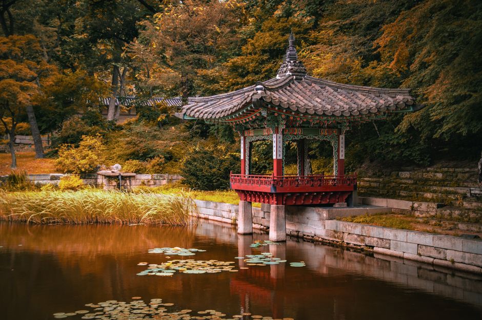 원상회복 의무와 관련된 주택 손상 사례들을 보여주는 이미지