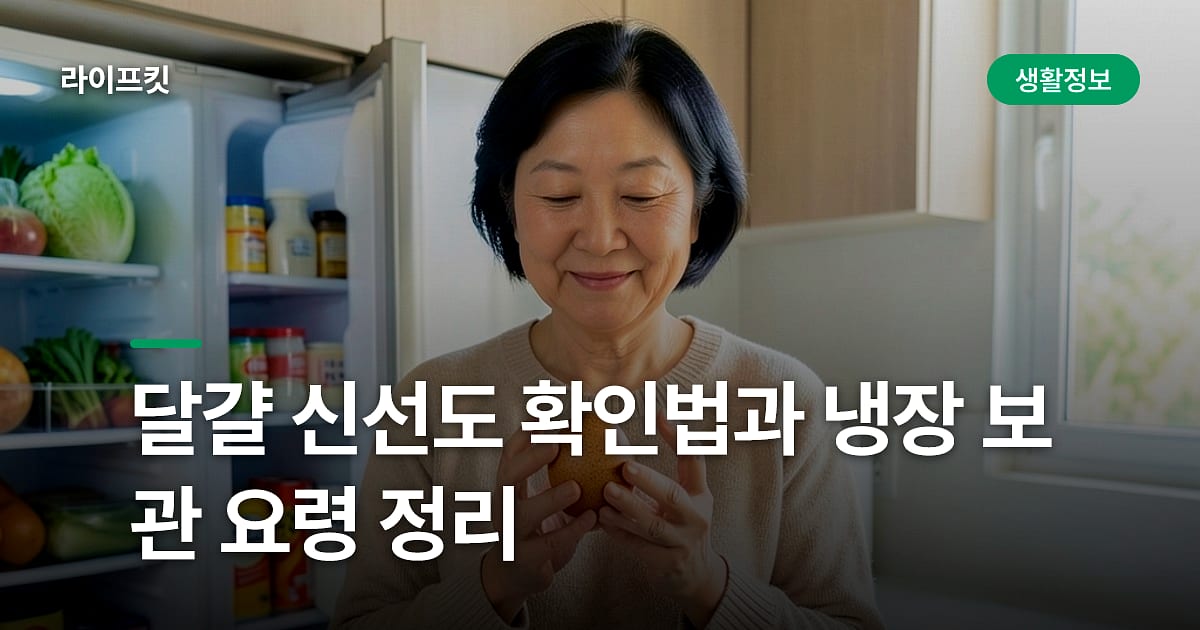 달걀 신선도 확인법과 냉장 보관 요령 정리