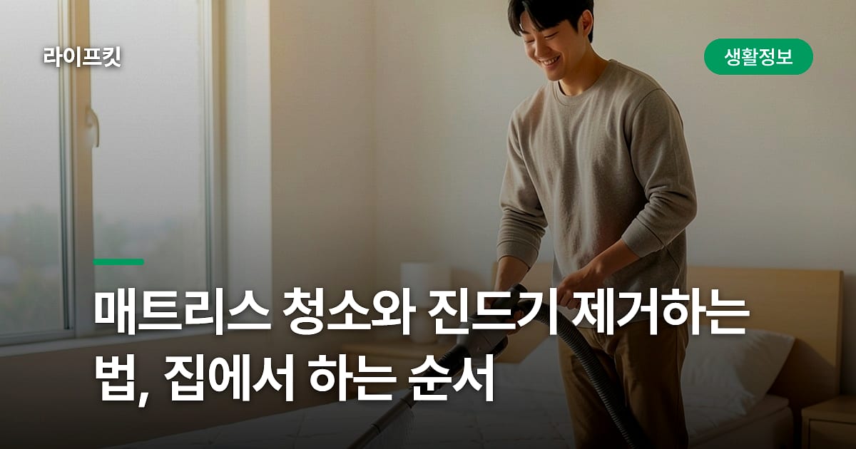 매트리스 청소와 진드기 제거하는 법, 집에서 하는 순서