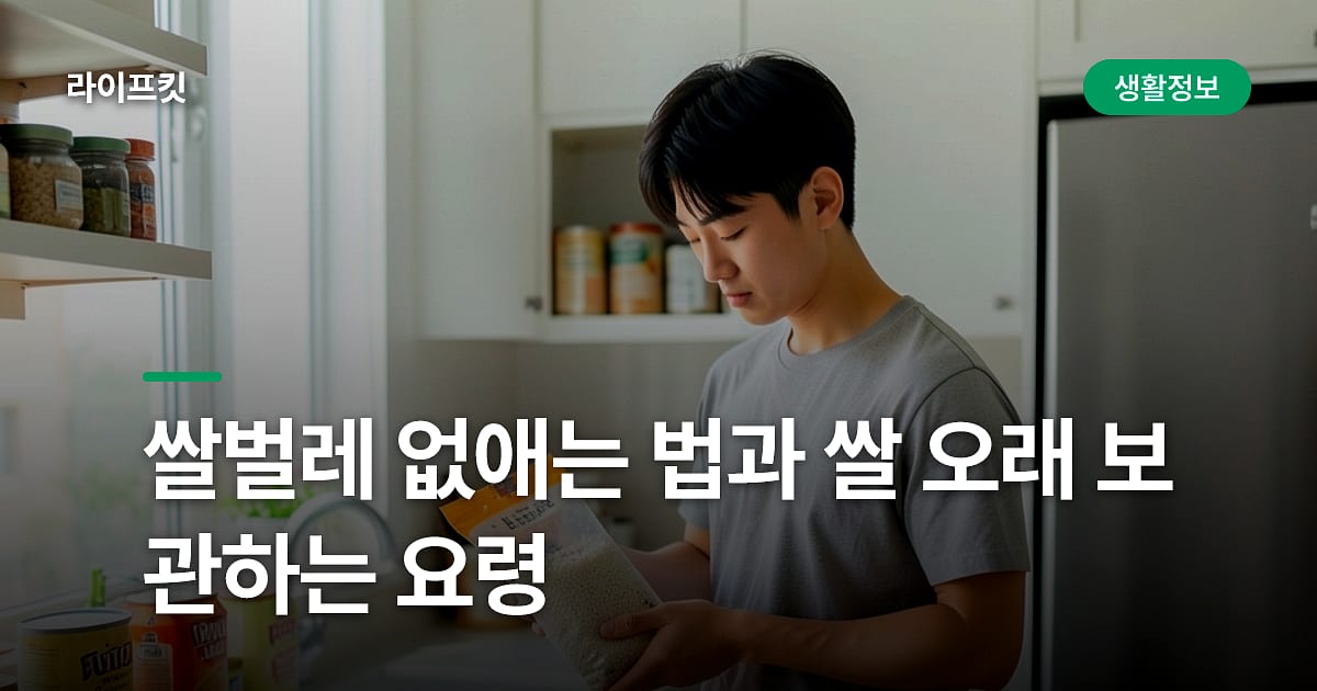 쌀벌레 없애는 법과 쌀 오래 보관하는 요령