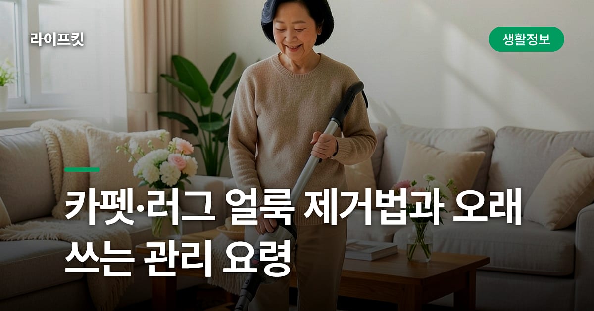 카펫·러그 얼룩 제거법과 오래 쓰는 관리 요령