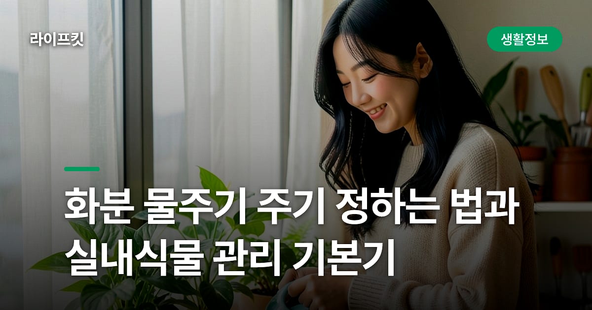 화분 물주기 주기 정하는 법과 실내식물 관리 기본기