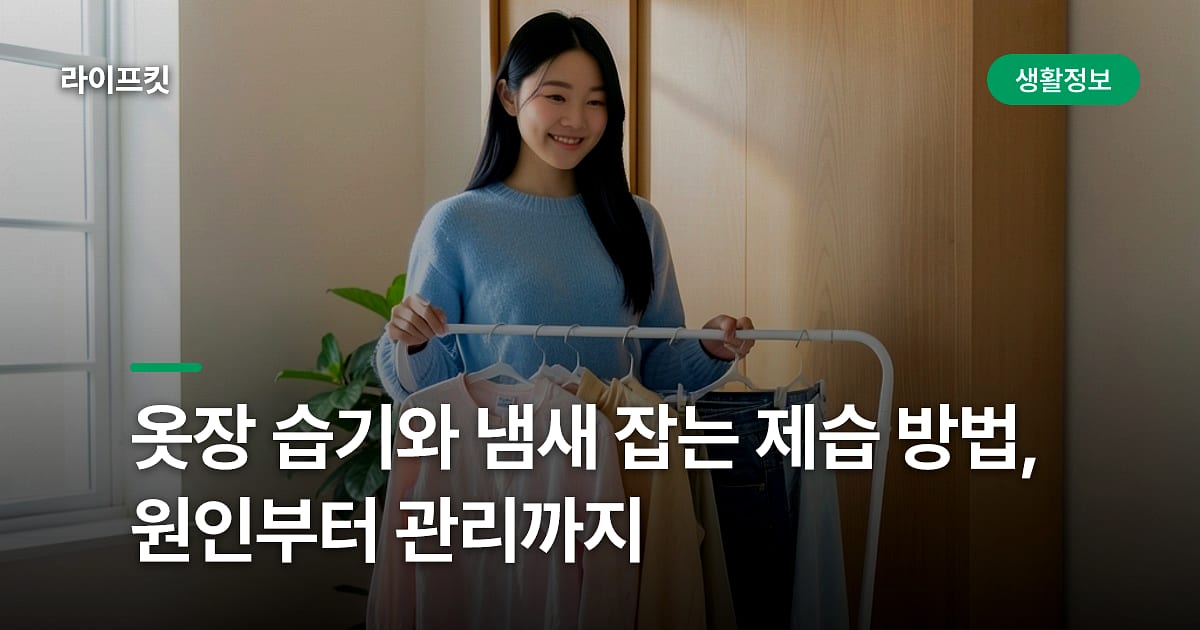 옷장 습기와 냄새 잡는 제습 방법, 원인부터 관리까지