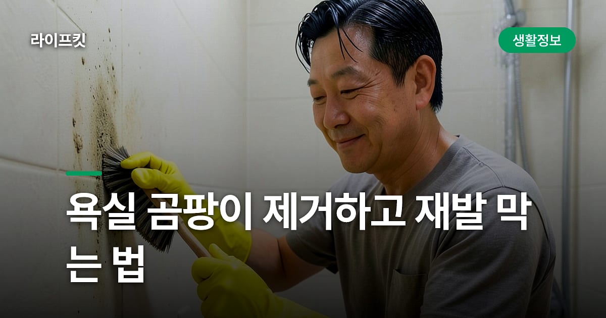 욕실 곰팡이 제거하고 재발 막는 법